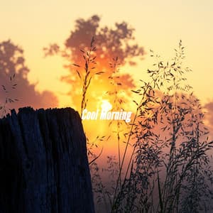 Cool Morning - Klassischer Jazz