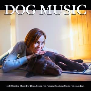 Dog Music: Soft Sleeping Music For Dogs, Music For Pets and Soothing Music For Dogs Ears - Dog Music