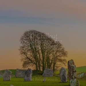 50 Chillout Soundscape for Deep Sleep - kinderliedjes