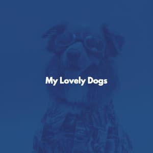My Lovely Dogs - Classic French Jazz