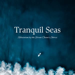 Tranquil Seas: Relaxation by the Serene Ocean's Shores - Harmless Harmonics