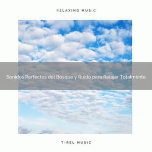 Sonidos Perfectos del Bosque y Ruido para Relajar Totalmente - Ruido Blanco