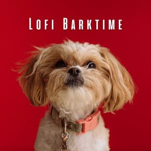 Lofi Barktime: Mellow Sounds for Dogs - lofi.sad