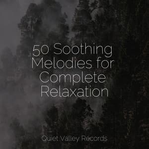 50 Soothing Melodies for Complete Relaxation - Nature Sound Series