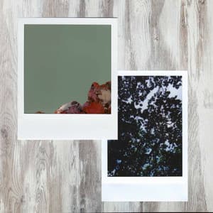 Simple Backdrop for Autumns Spirits - Jazz Instrumental Songs Cafe