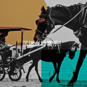 沉迷乡村音乐！ - The Acoustic Guitar Troubadours