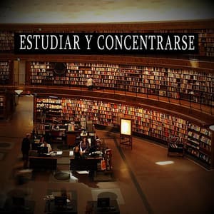 Estudiar y Concentrarse - Fondo de la lectura