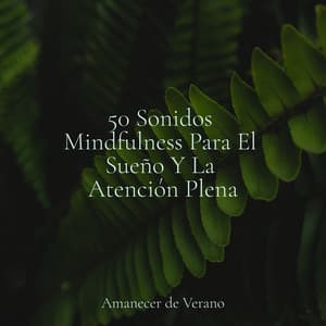50 Sonidos Mindfulness Para El Sueño Y La Atención Plena - Música para Relajarse Profundamente