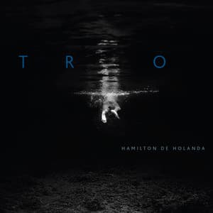 Trio - Hamilton De Holanda