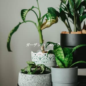 ガーデンのグルーヴ - Música para Programar