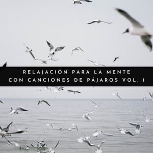 Relajación Para La Mente Con Canciones De Pájaros Vol. 1 - Sonidos De Pajaros