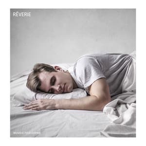 Rêverie: Musique de Sommeil - Musique pour Dormir