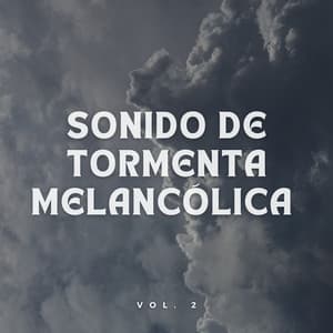 Alivio Del Estrés Con Calmo Sonido De Tormenta Vol. 1 - Tormentas eléctricas y sonidos de lluvia