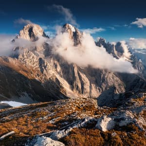 Music For Relaxation In The Floating Light - Calming Pet Care Masters