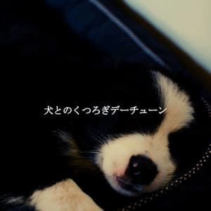 犬とのくつろぎデーチューン - Office Work Music