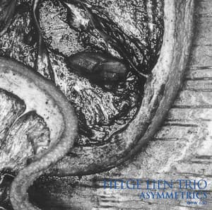 Asymmetrics - Helge Lien Trio