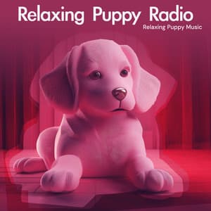 Relaxing Puppy Radio - Relaxing Puppy Music
