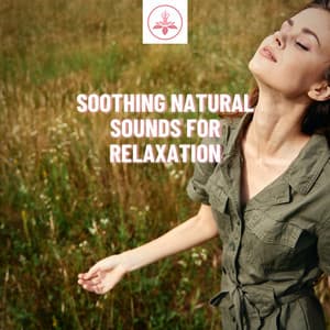 Soothing Natural Sounds for Relaxation, Yoga, Learning & Restful Slumber - The Time Of Meditation
