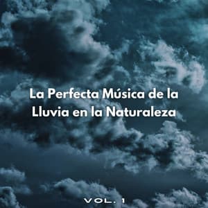 La Perfecta Música De La Lluvia En La Naturaleza Vol. 1 - Escuela de Lluvia