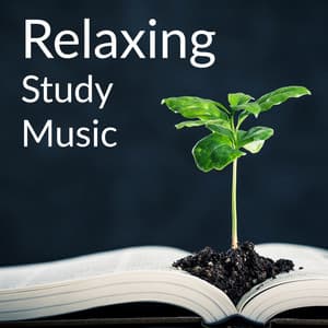 Relaxing Study Music - Relaxation Study Music