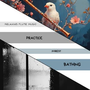 Practice Forest Bathing - Relaxing Flute Music