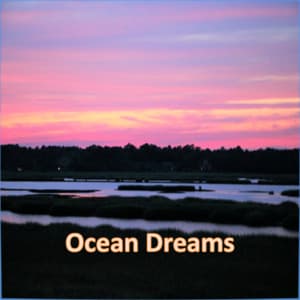 Ocean Dreams - Sea Nature Players