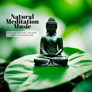 Natural Meditation Music: Restful Nature Sounds with Background - Nature Caldwell