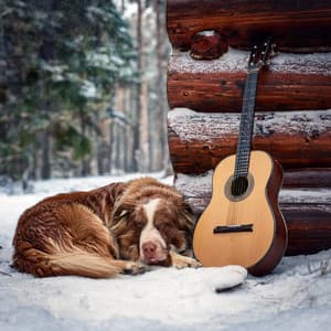 Guitar Music for Pets and Peaceful Companionship - Guitar & Harmonica