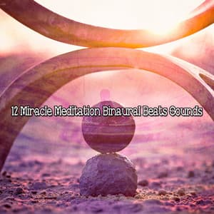 12 Miracle Meditation Binaural Beats Sounds - Binaural Nature Sounds Relaxing