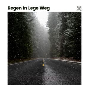 Regen in Lege Weg - Geluiden van de Regen