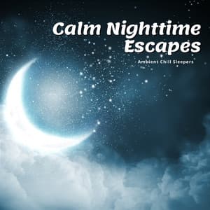 Calm Nighttime Escapes - Ambient Chill Sleepers