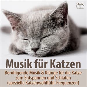 Musik für Katzen - Beruhigende Musik & Klänge für die Katze zum Entspannen und Schlafen - Musik für Katzen TA