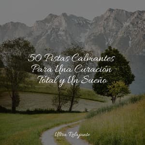 50 Pistas Calmantes Para Una Curación Total y Un Sueño - Canção de Ninar Bebê