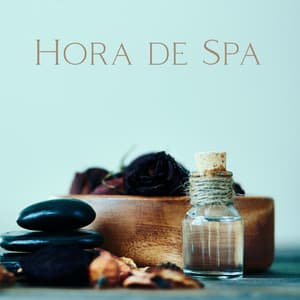 Hora de Spa: 60 Minutos de Música de Spa con Sonidos de la Naturaleza - Academia de Música con Sonidos de la Naturaleza