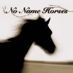 No Name Horses - Makoto Ozone