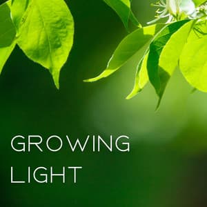 Growing Light - Music for Plants