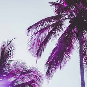 Distinguished Ambiance for New Moods - Coffee House Playlist