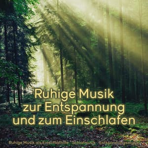 Ruhige Musik zur Entspannung und zum Einschlafen - Ruhige Musik als Einschlafhilfe