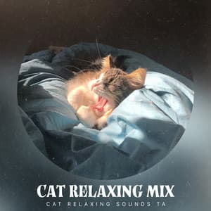 Cat Relaxing Mix - Cat Relaxing Sounds TA