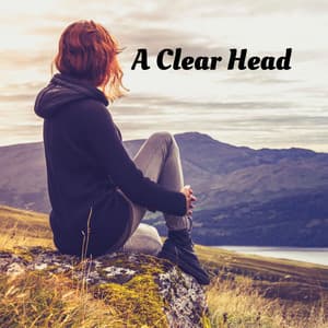 A Clear Head - Sky Fall SF