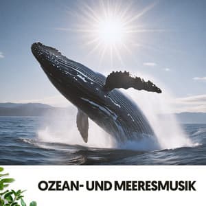 Ozean- und Meeresmusik: Serenade der Wellen - Relajacion
