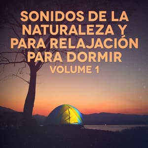 Sonidos de la Naturaleza para Dormir y para Relajación - Música de la Naturaleza