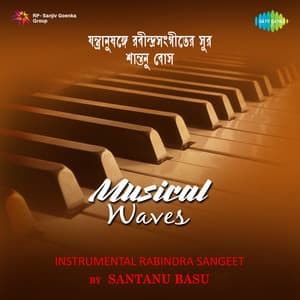 Musical Waves - Santanu Basu