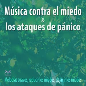 Música contra el miedo y los ataques de pánico - Melodías suaves, reducir los miedos, dejar ir los miedos - Máxi relajación