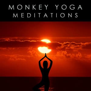 Meditations - Monkey Yoga