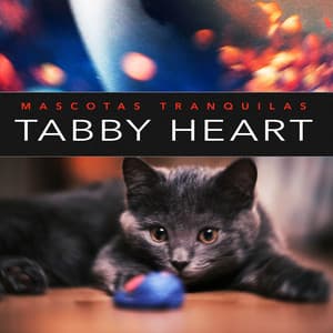 Tabby Heart - Mascotas tranquilas
