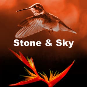 Stone & Sky - Florida Nature