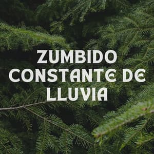 Zumbido Constante De Lluvia - La Fábrica de Lluvia