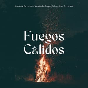 Ambiente De Lectura: Sonidos De Fuegos Cálidos, Para Su Lectura - Sonidos de fuego de llamas celestiales