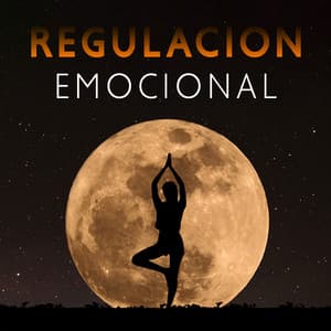 Regulación Emocional - Meditación Música Ambiente